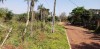 Thumbnail 2000 M2 TERRENO EN PTE FRANCO CAMINO A TRES FRONTERAS0